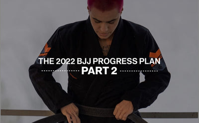 BJJ Progress Plan Part 2: Process Improvement