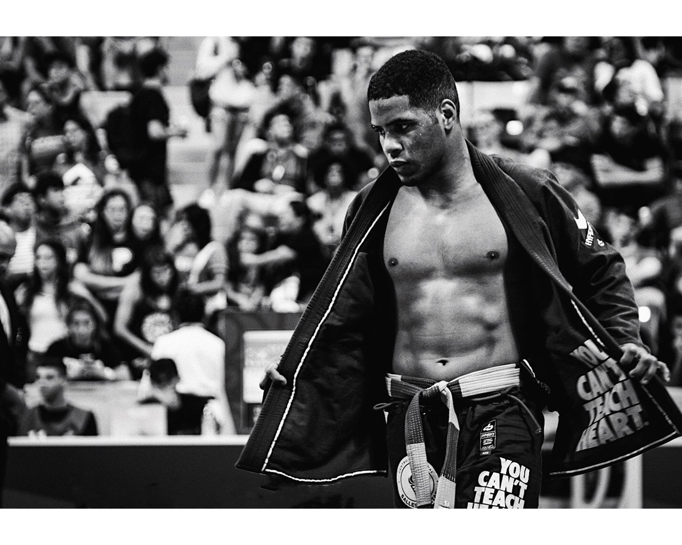 The Artist v The Athlete written by Margot Ciccarelli